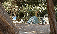 Camping Santa Marina, terrain de campings en france, en région Corse, Luri